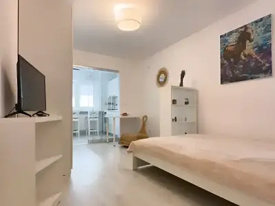 Garsoniera de inchiriere Sector 3 Bucuresti camera cu TV